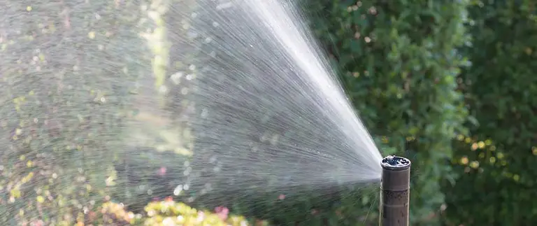 Residential Irrigation Services That Save Water & Time